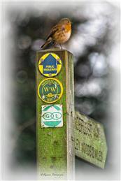 Barnoldby le Beck Parish Council Logo